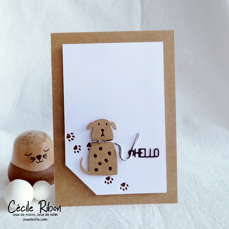 Carte CC&S493 - P1360630