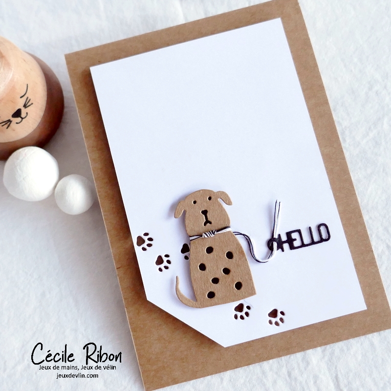 Carte CC&S493 - P1360638