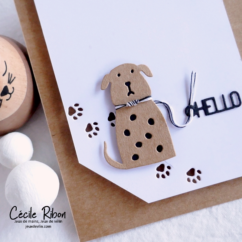 Carte CC&S493 - P1360641