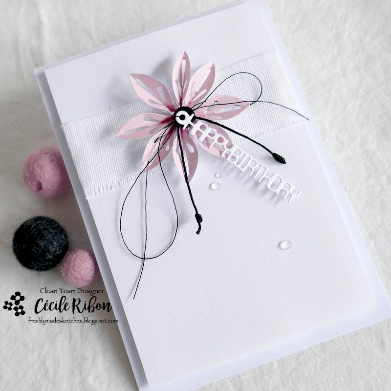 Carte FMS556 - P1360024