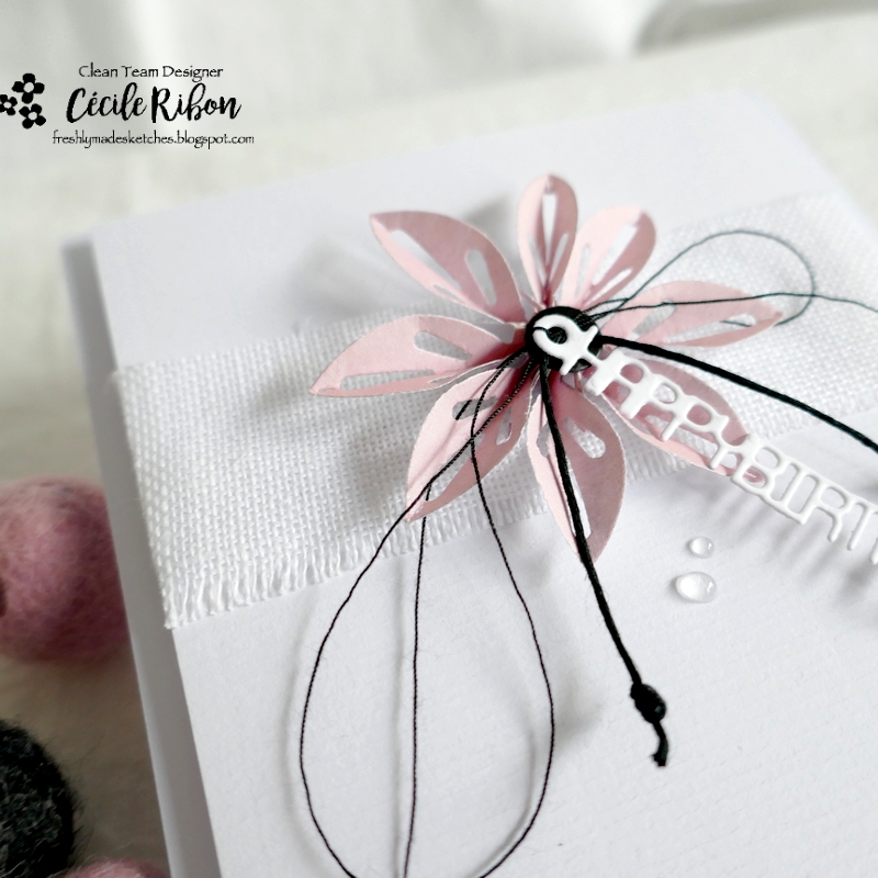 Carte FMS556 - P1360027