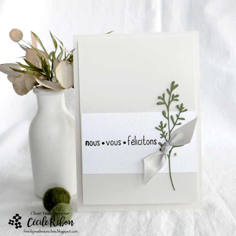 Carte FMS557 - P1360326