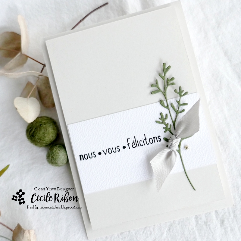 Carte FMS557 - P1360329