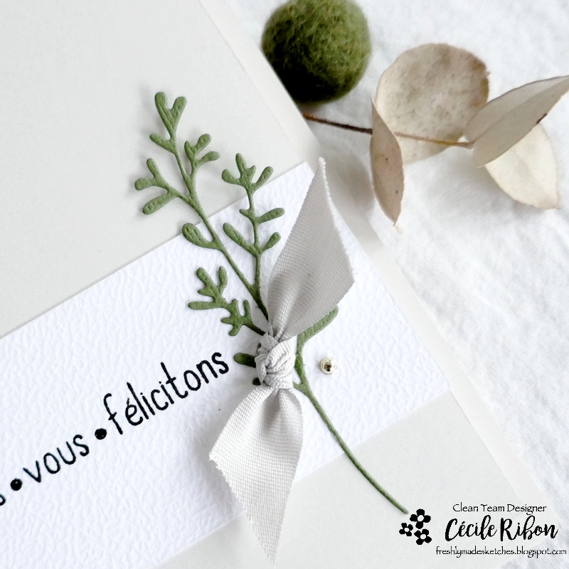 Carte FMS557 - P1360334