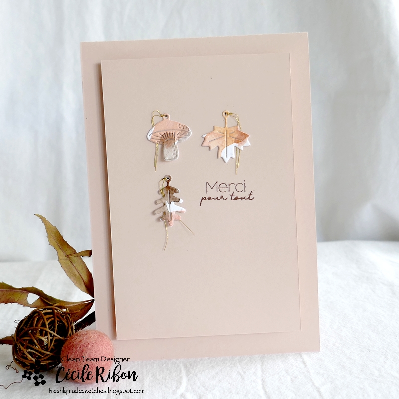 Carte FMS558 - P1360491