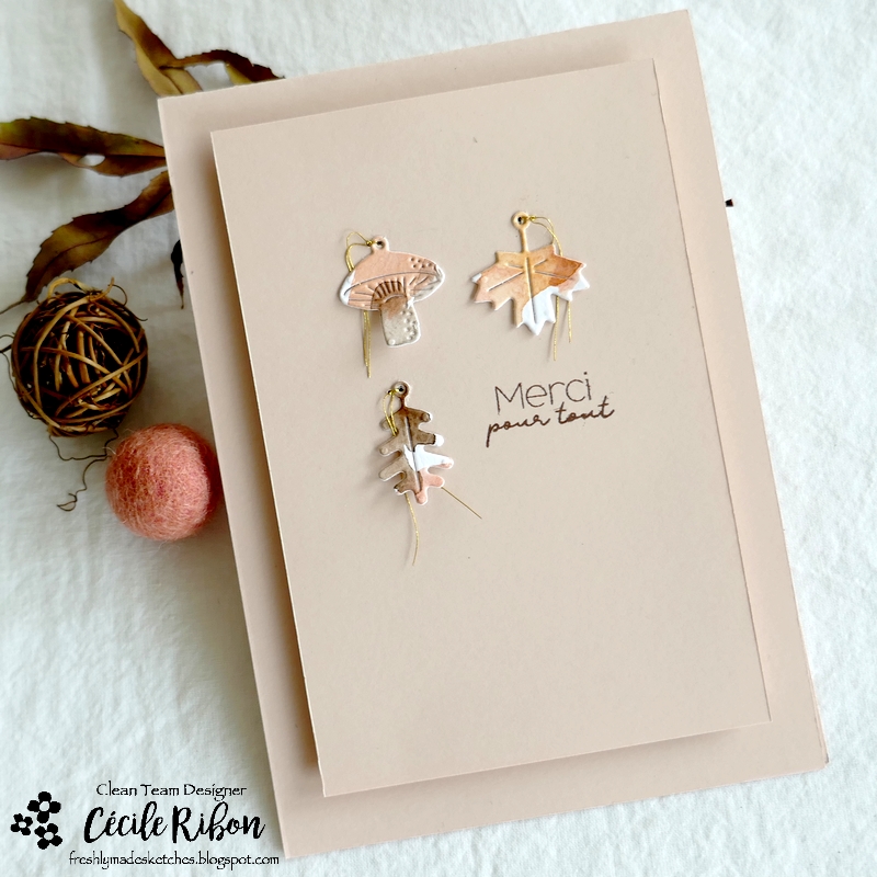 Carte FMS558 - P1360497