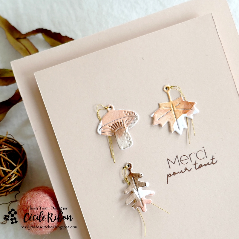 Carte FMS558 - P1360504