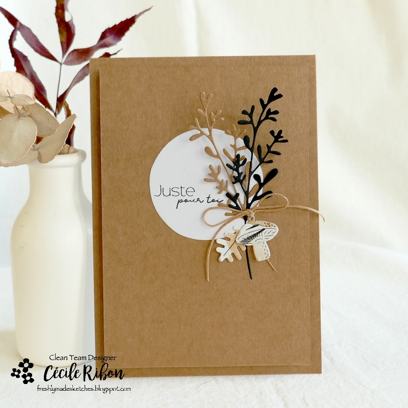 Carte FMS559 - P1360649