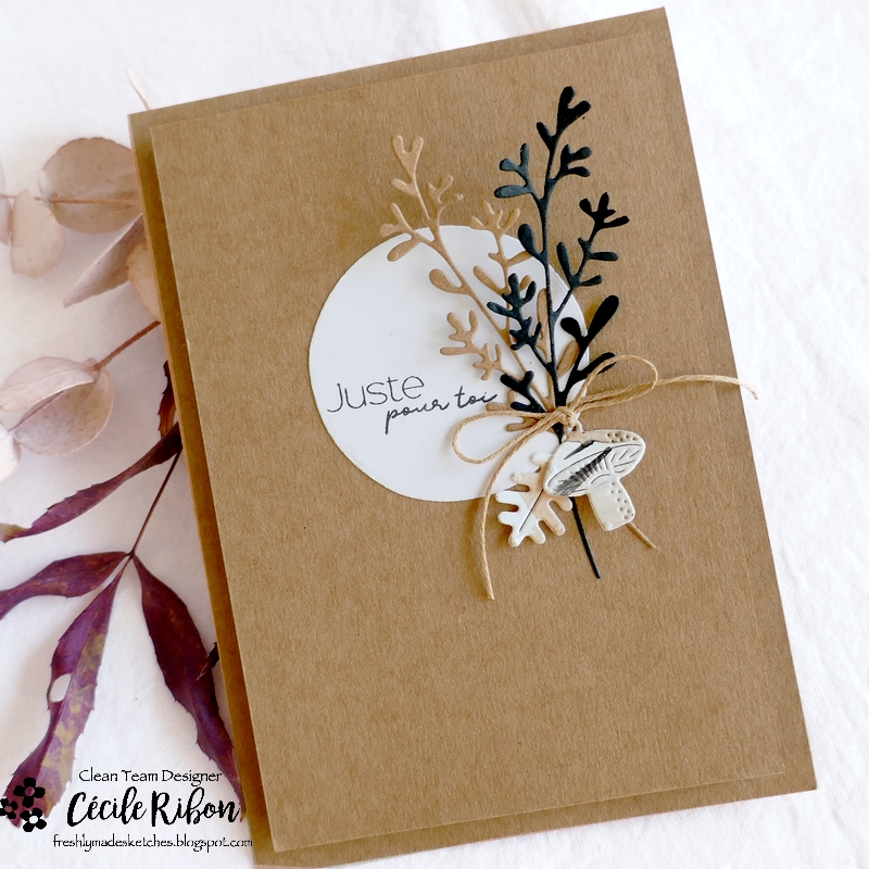 Carte FMS559 - P1360651