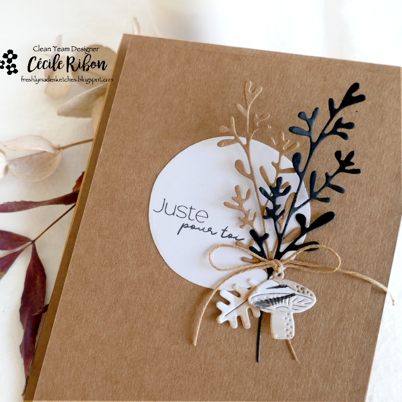 Carte FMS559 - P1360658