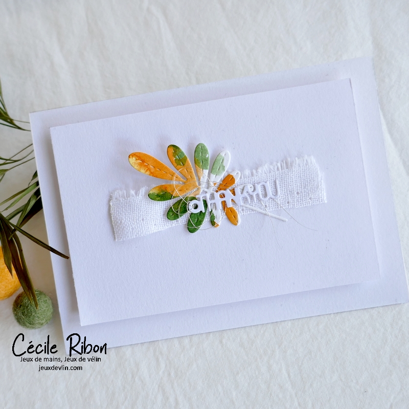 Carte JUGS653 - P1360134