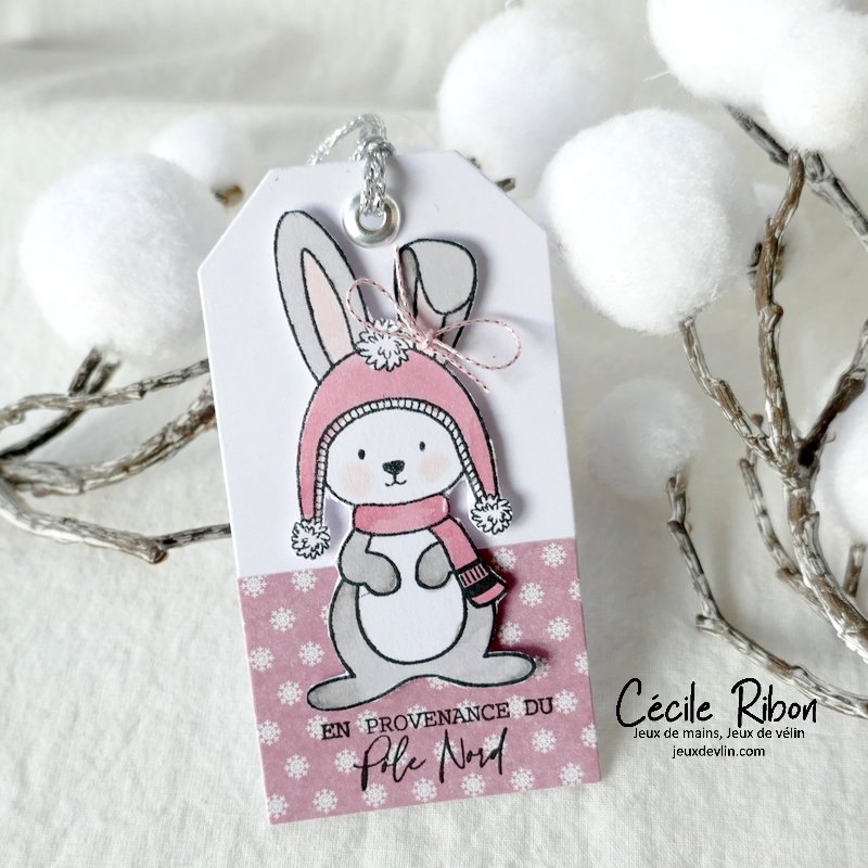 Carte JUGS656 - P1360721