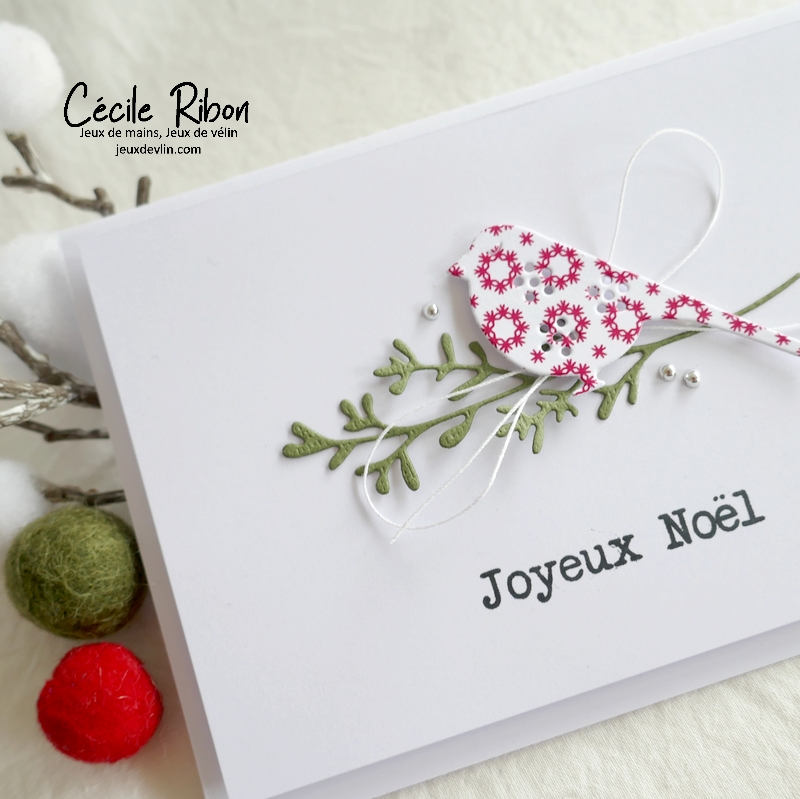 Carte Npël01 - P1360596