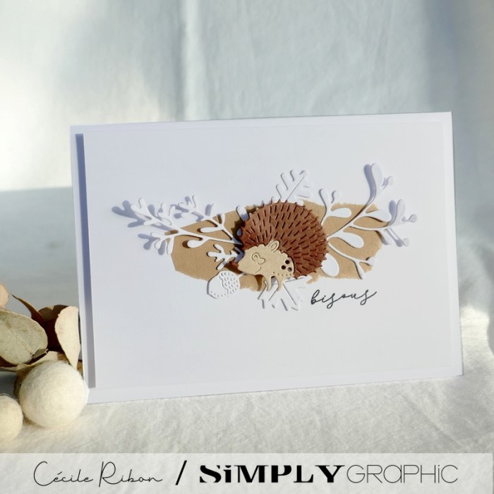 Carte SG17 - P1360063