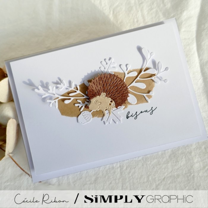 Carte SG17 - P1360065