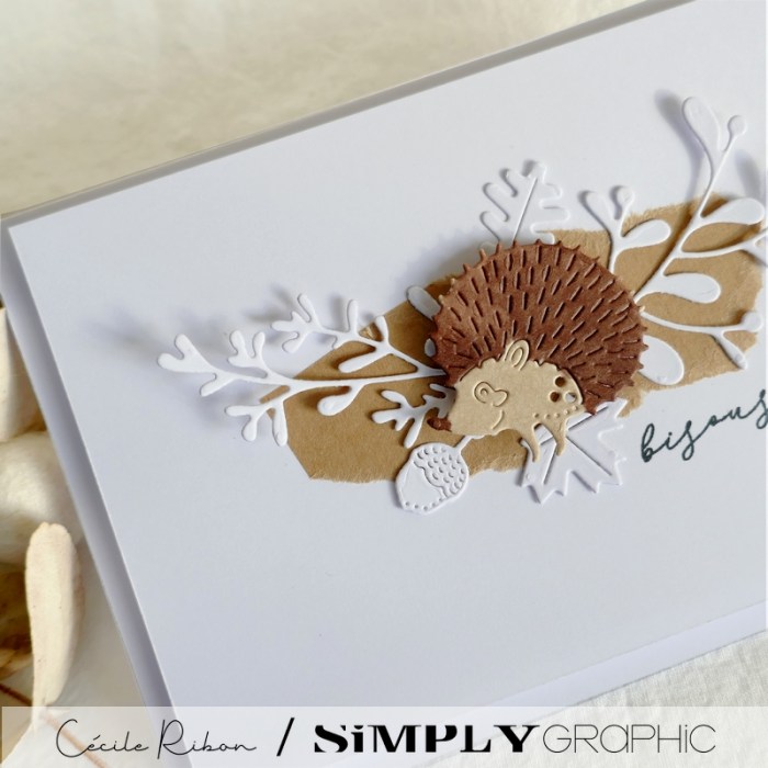 Carte SG17 - P1360073