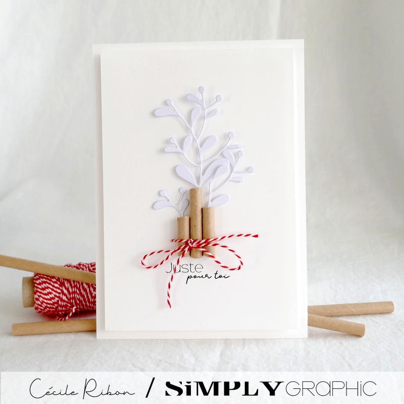 Carte SGx07 - P1360511