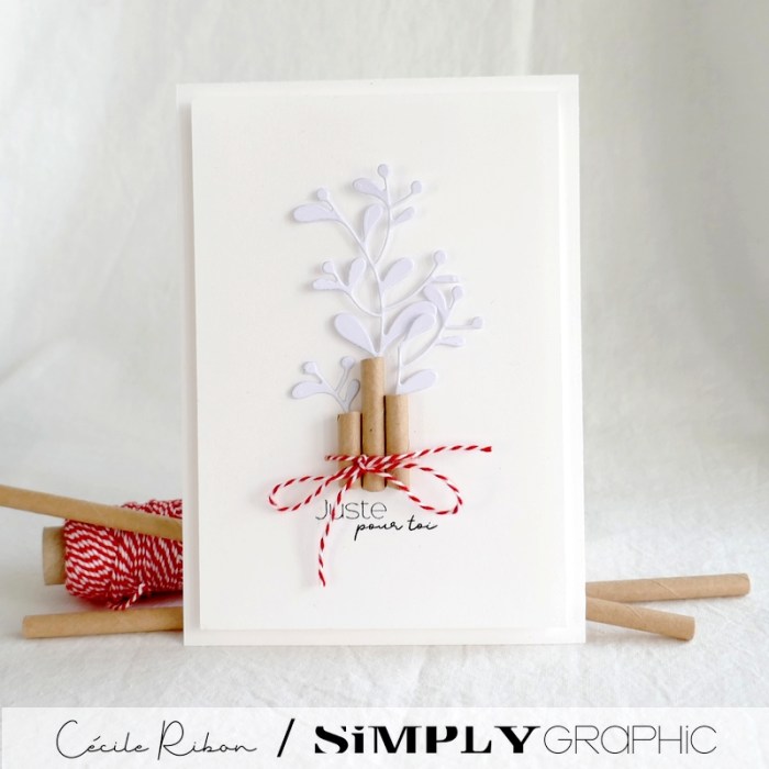 Carte SGx07 - P1360511