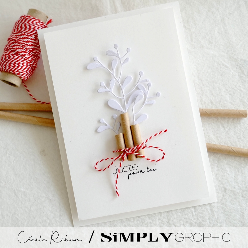 Carte SGx07 - P1360514