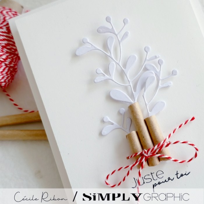 Carte SGx07 - P1360519