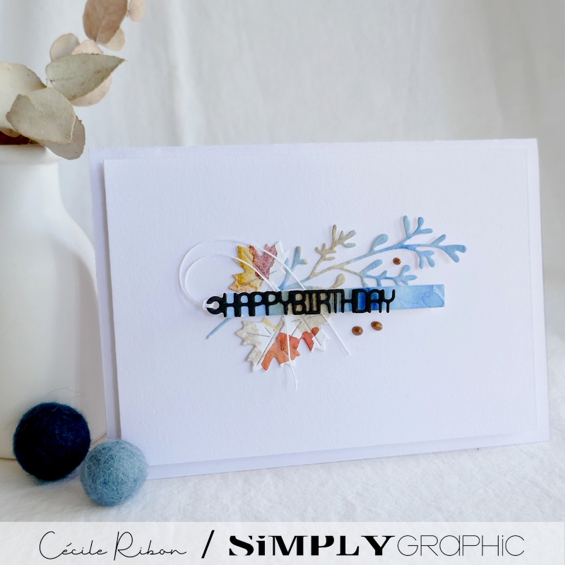 Carte SGxx02 - P1360149