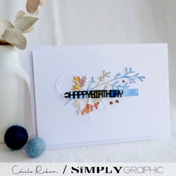 Carte SGxx02 - P1360149