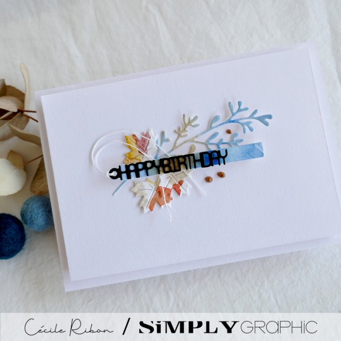 Carte SGxx02 - P1360153