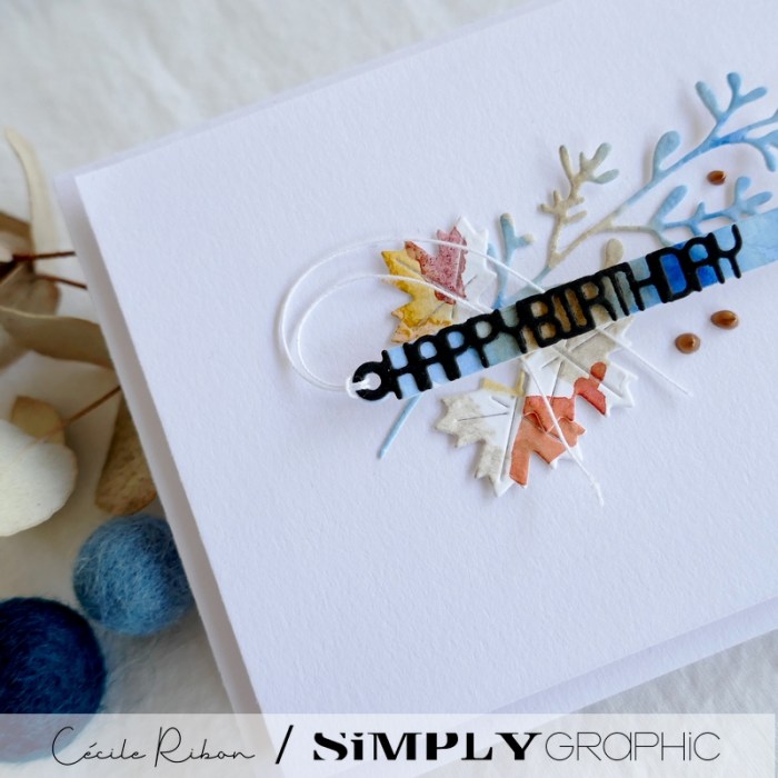 Carte SGxx02 - P1360157