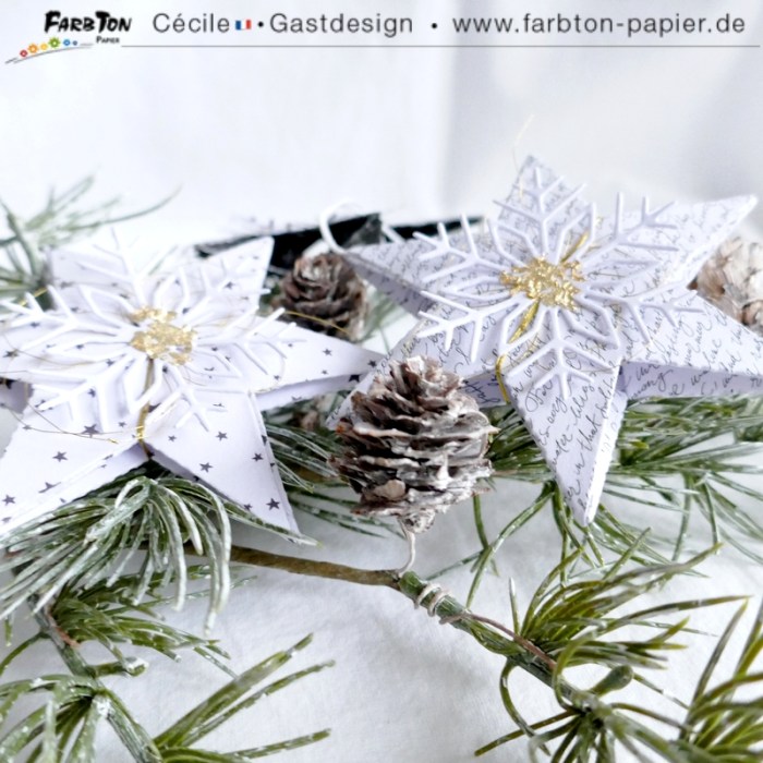 FarbtonP29 - P1360356