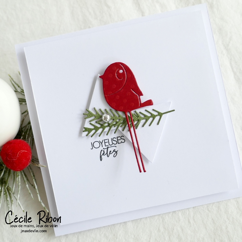 Carte CC&amp;S495 - P1370003