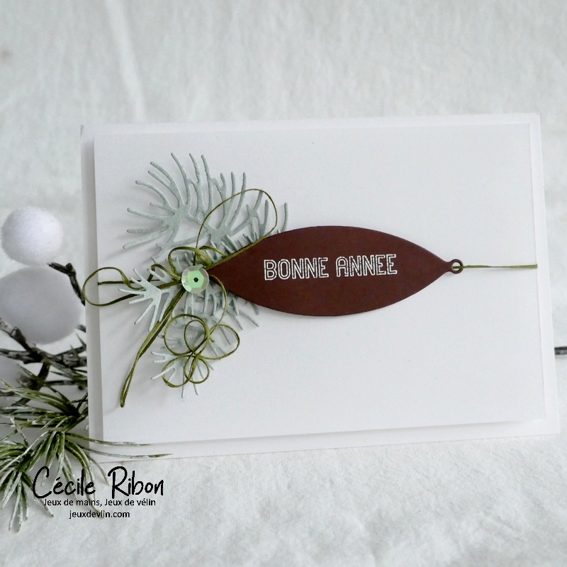 Carte CC&S496 - P1370172