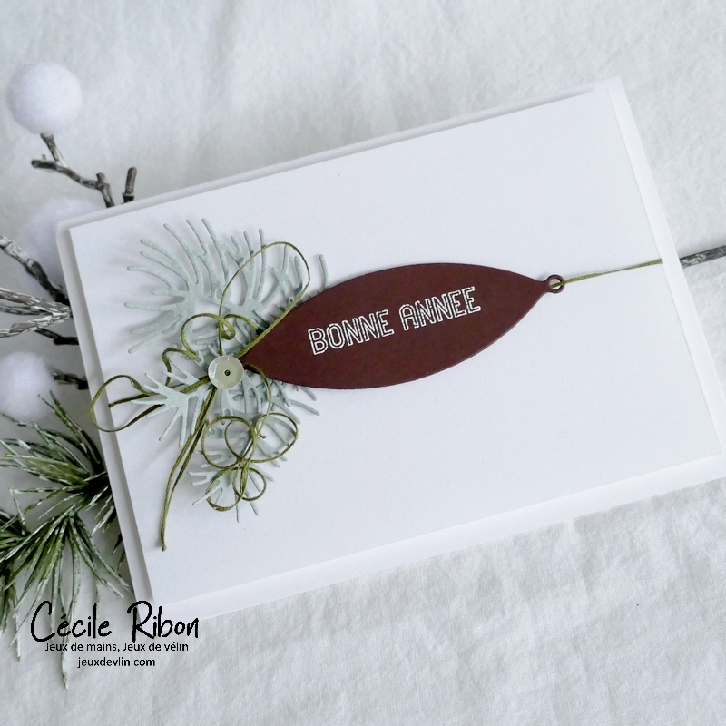 Carte CC&S496 - P1370187