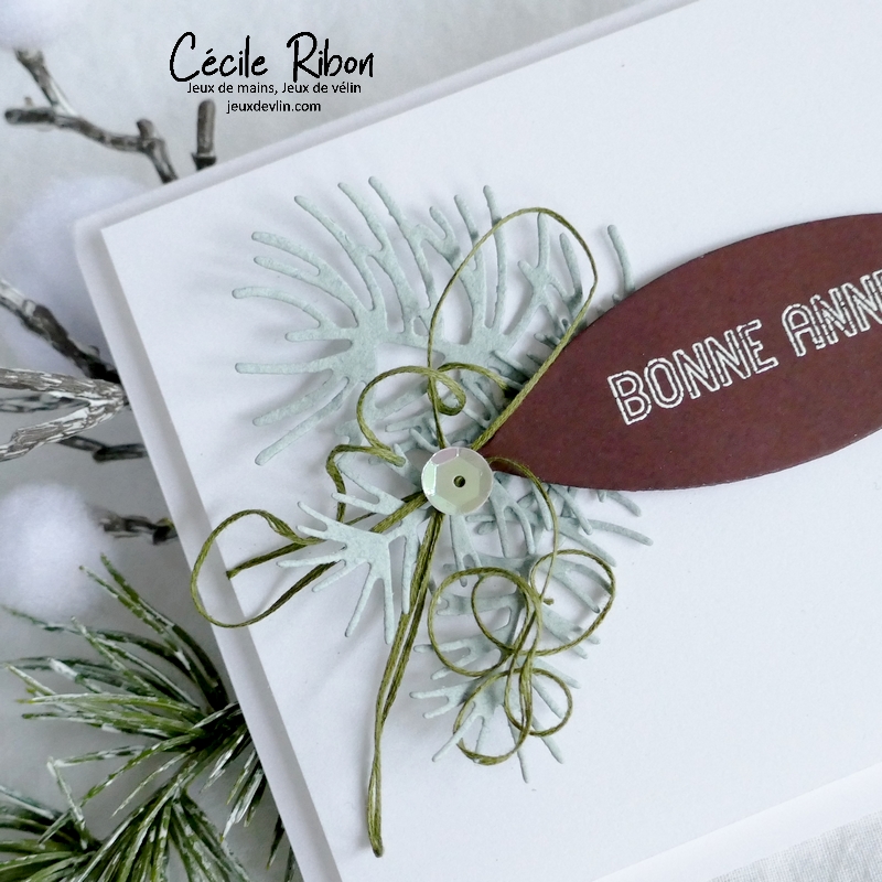 Carte CC&S496 - P1370190