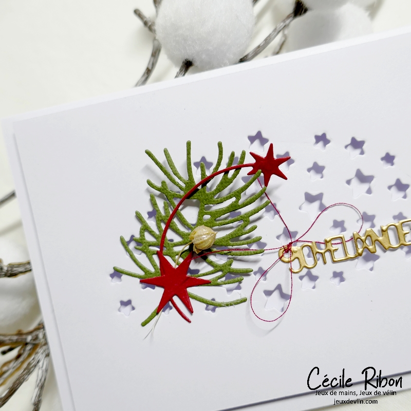 Carte CC&S497 - P1370253