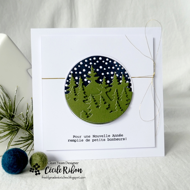 Carte FMS560 - P1360758