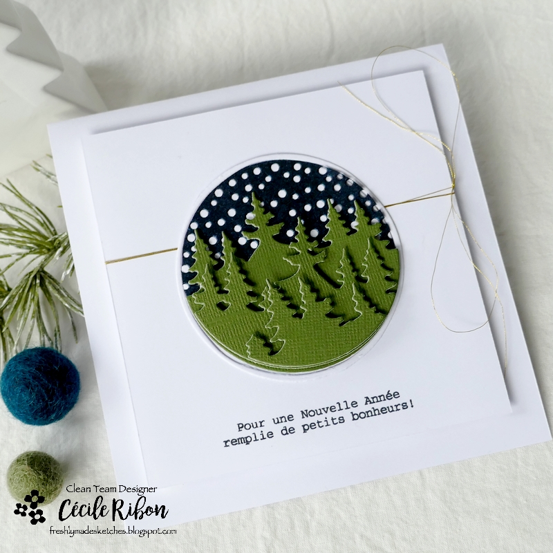 Carte FMS560 - P1360765