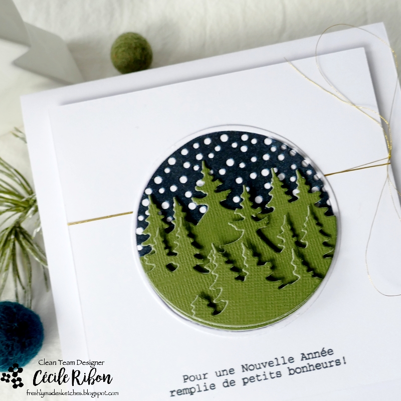 Carte FMS560 - P1360769