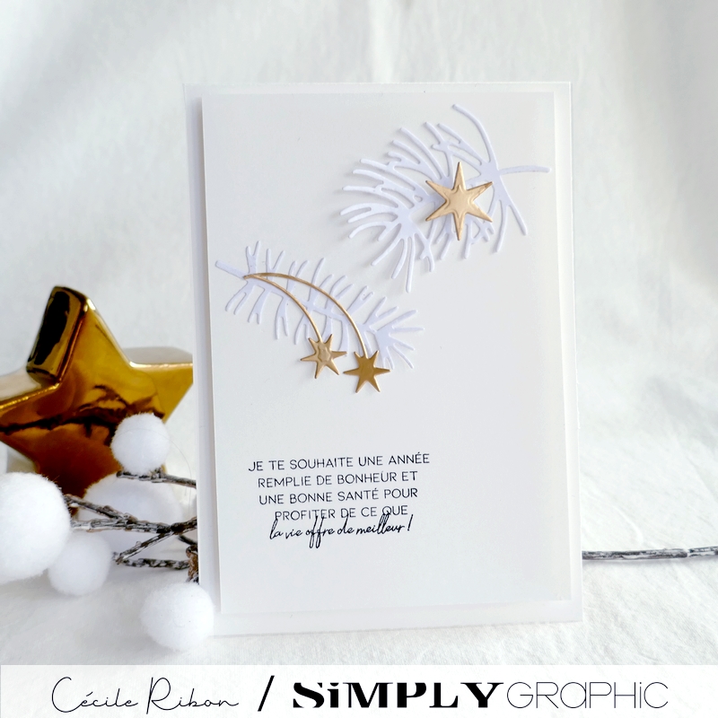 Carte FMS561 - P1370011