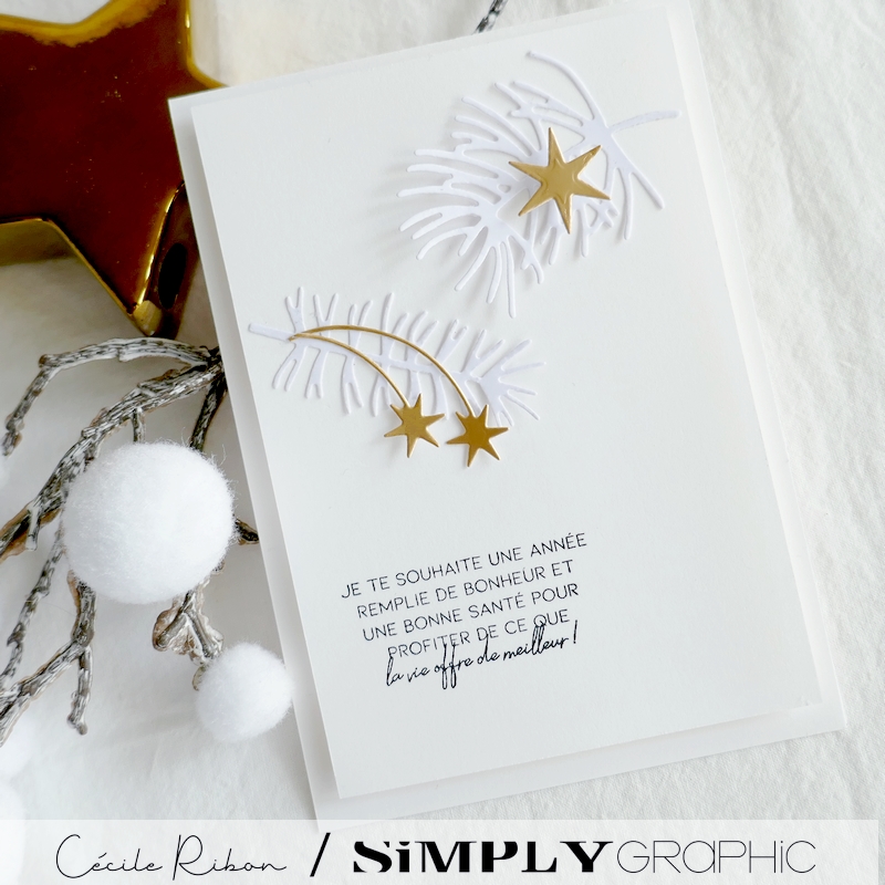 Carte FMS561 - P1370017