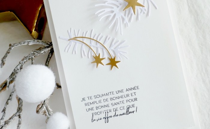 Freshly Made Sketches #561 & Simply Graphic Christmas release « Collection Courchevel ».