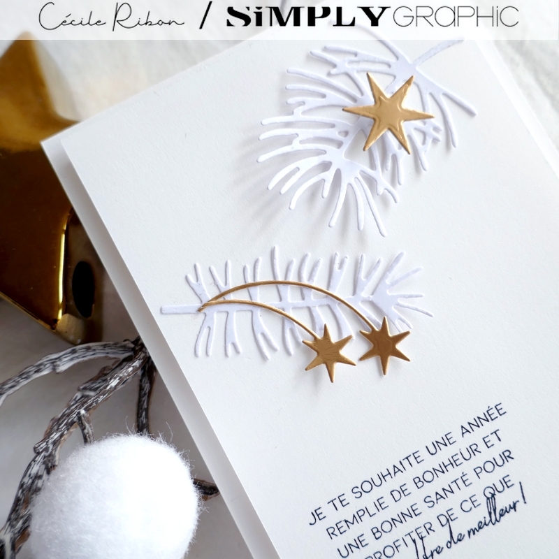 Carte FMS561 - P1370022