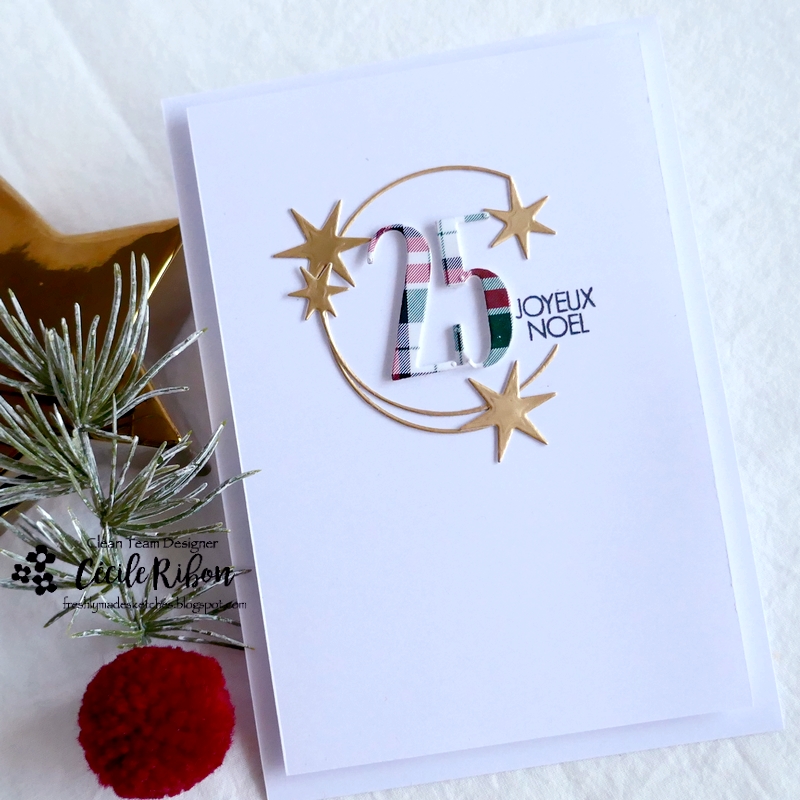 Carte FMS564 - P1370319