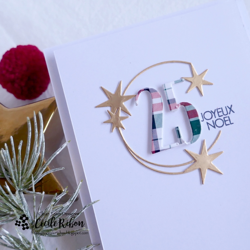 Carte FMS564 - P1370322