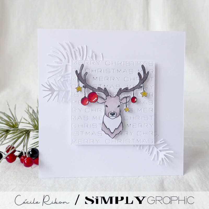 Carte SG18 - P1360831