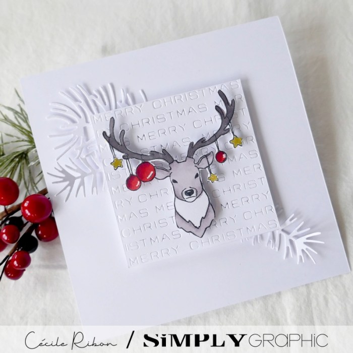 Carte SG18 - P1360832