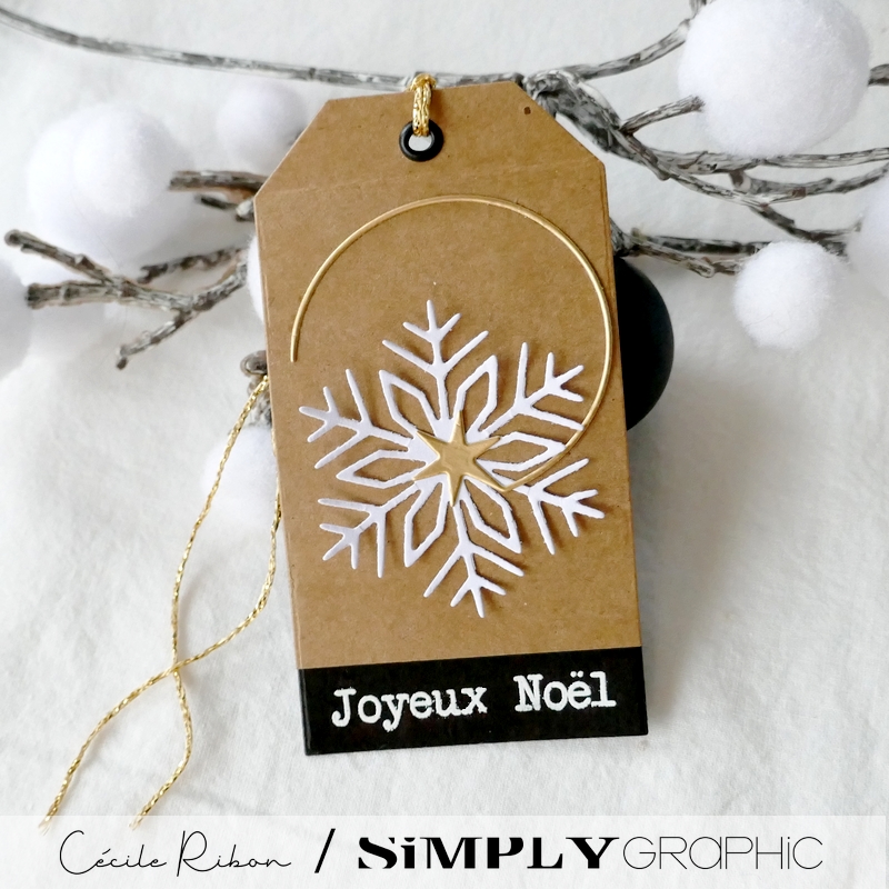 CalAvent SG #02 - P1360890