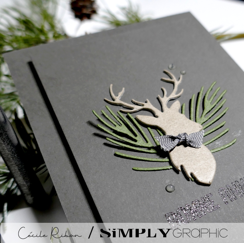 CalAvent SG #08 - P1370665