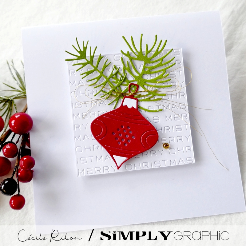 CalAvent SG #1 - P1360853