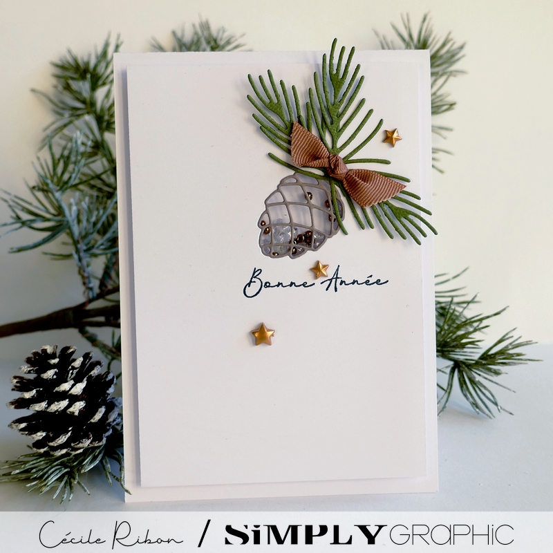 CalAvent SG #11 - P1370741