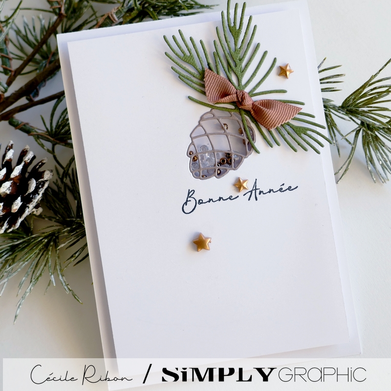 CalAvent SG #11 - P1370743